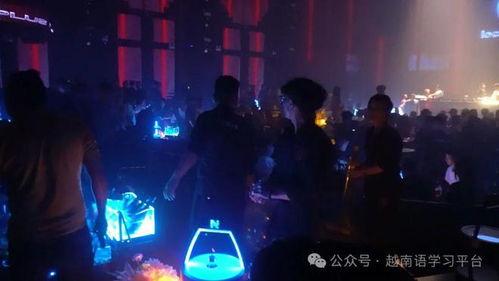 酒吧的视频,一窥夜生活魅力瞬间