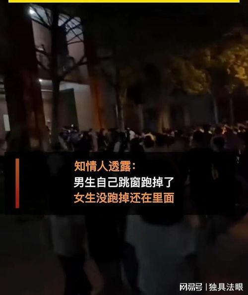 嘿咻视频,探索嘿咻视频背后的情感与生活