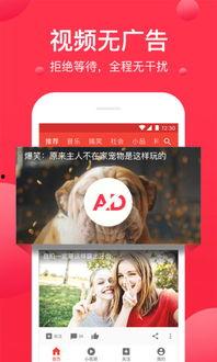 西瓜视频金瓶梅