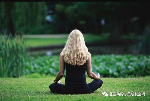 冥想训练方法视频,轻松入门，开启心灵宁静之旅