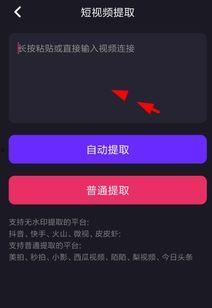 视频去掉水印,还原清晰画面，畅享无痕观影体验