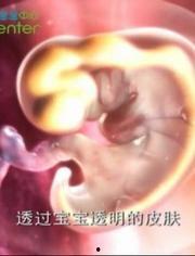 怀孕视频大全,怀孕视频大全回顾