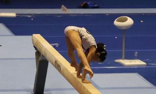 跳马视频,跳马运动精彩瞬间回顾