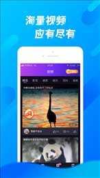 左手视频,揭秘未知世界的奇妙瞬间