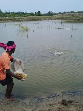钓鱼视频钓鱼视频,跟随钓鱼视频学技巧，轻松捕获大鱼