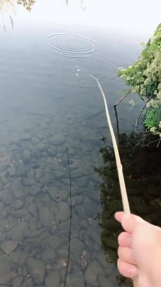 钓鱼视频钓鱼视频,跟随钓鱼视频学技巧，轻松捕获大鱼