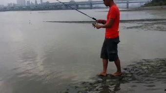 钓鱼视频钓鱼视频,跟随钓鱼视频学技巧，轻松捕获大鱼