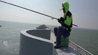 矶钓视频,跟随视频探索海洋之美