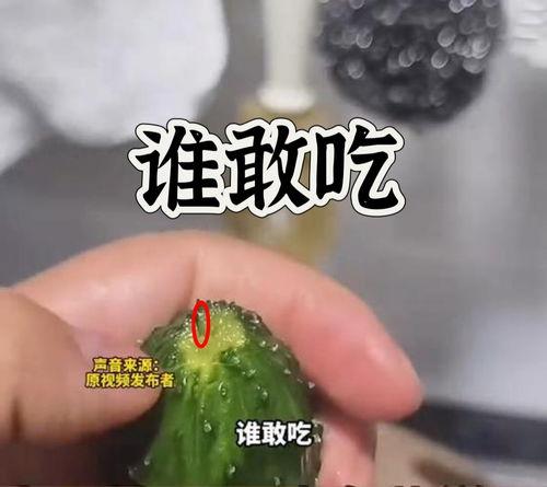 吃瓜爆料图片高清壁纸,揭秘吃瓜爆料瞬间，视觉冲击下的真相呈现