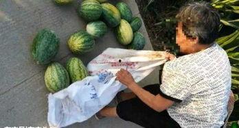 吃瓜最新事件爆料新沂,吃瓜群众揭秘最新事件内幕