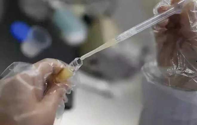 捐精视频,真实视频带你走进生命传承的瞬间