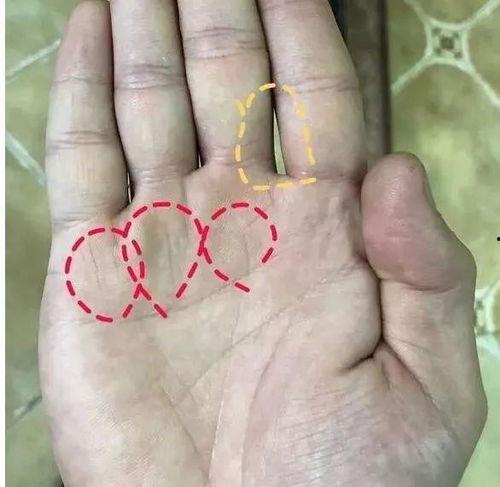 手相视频,跟随视频探索手部线条与命运的秘密