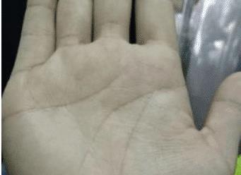 手相视频,跟随视频探索手部线条与命运的秘密