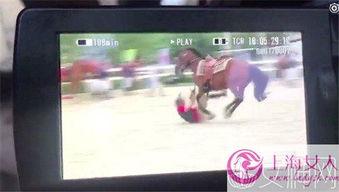 马跑视频,马跑视频精彩瞬间回顾