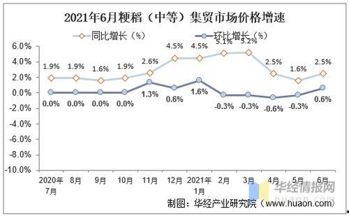 今日石头瓜价格走势分析,今日市场趋势洞察