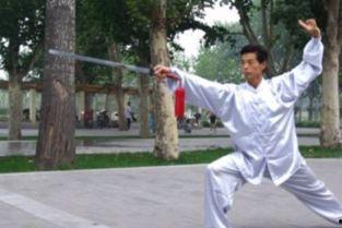 三十二式太极剑视频,动静之间，领略中华武术之美