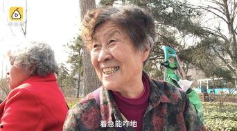 操老太太视频,揭秘养老生活新视角