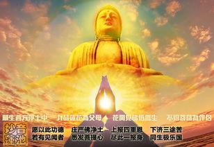 预知时至自在往生视频,揭秘生命终结的神秘旅程