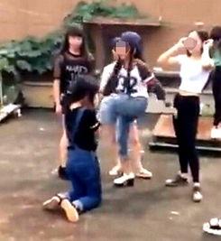 江西永新打架视频,冲突升级引发社会关注