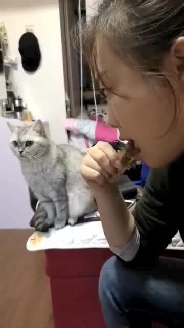 爪子视频,揭秘短视频时代的魅力与挑战