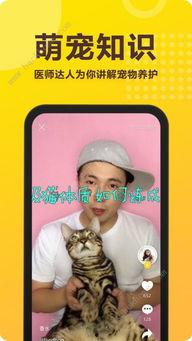 爪子视频,揭秘短视频时代的魅力与挑战