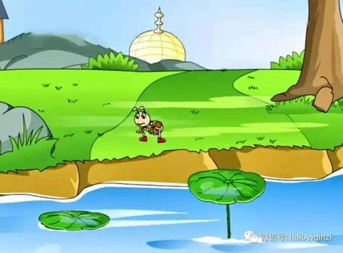 蚂蚁报恩视频,感人至深的自然奇观揭秘