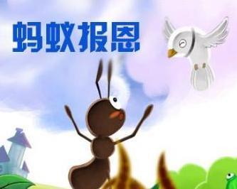 蚂蚁报恩视频,感人至深的自然奇观揭秘