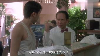 jj插pp视频,JJ与PP的浪漫邂逅