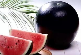 黑蜜瓜可以吃吗,美味与营养并存的夏日佳果