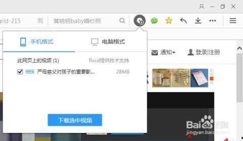 怎么下载网站上的视频,如何下载网站上的视频教程