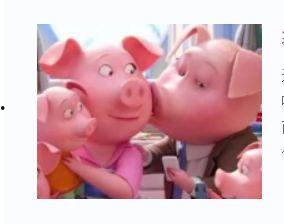 小猪猪视频,萌趣互动，欢乐无限