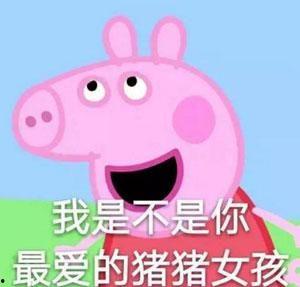 小猪猪视频,萌趣互动，欢乐无限