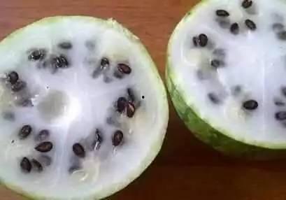 绿皮白瓤瓜黑籽可以吃吗,揭秘可食用之谜