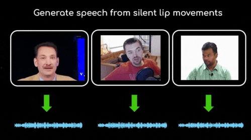 说话视频,一窥说话者的精彩瞬间