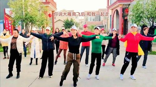 动感广场舞视频大全集