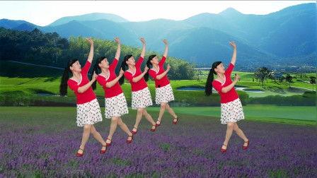 动感广场舞视频大全集