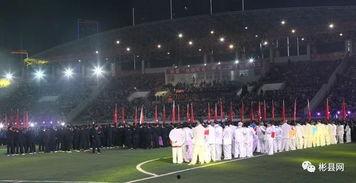 运动会开幕式视频,活力绽放——运动会开幕式精彩瞬间回顾