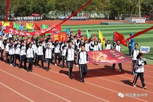 运动会开幕式视频,活力绽放——运动会开幕式精彩瞬间回顾