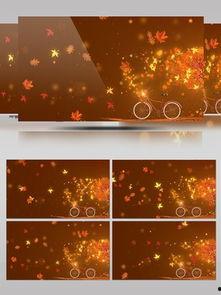 伤感的视频素材,那些触动心灵的伤感瞬间