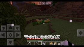 我的世界   视频