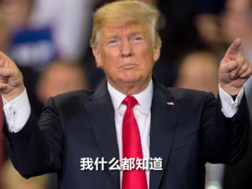 特朗普视频,权力巅峰下的真实瞬间