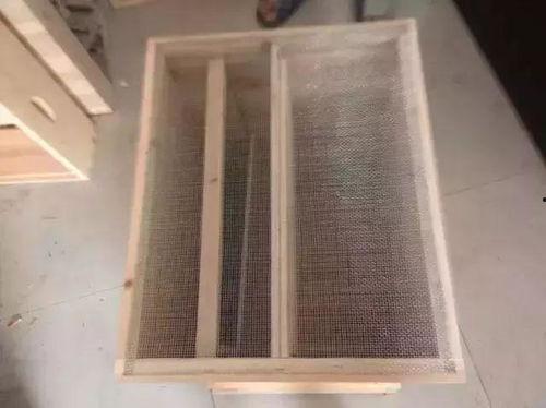 中蜂过箱视频,视频教学助你轻松掌握