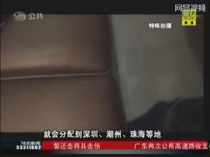 暗访视频,揭开行业黑幕背后的真相