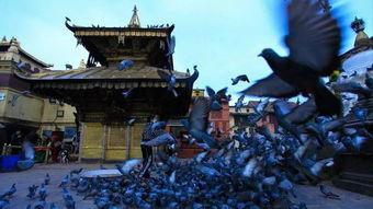 尼泊尔视频,穿越千年古国的视觉盛宴