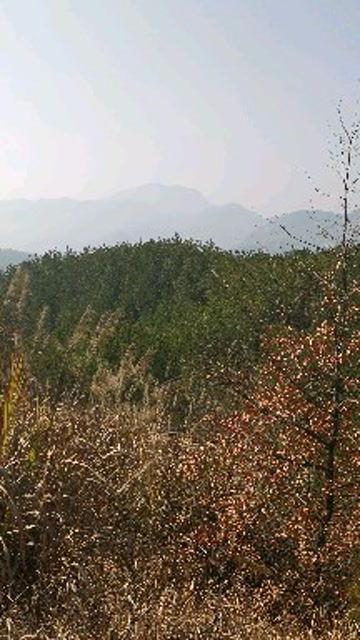 大别山视频,自然奇观与红色历史的壮丽画卷