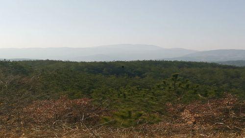大别山视频,自然奇观与红色历史的壮丽画卷