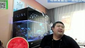 土鳖视频,揭秘农村生活新视角