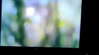 f视频,揭秘热门内容背后的魅力与影响力