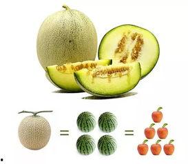 一手爆料吃瓜,娱乐圈惊天大瓜，真相令人震惊！