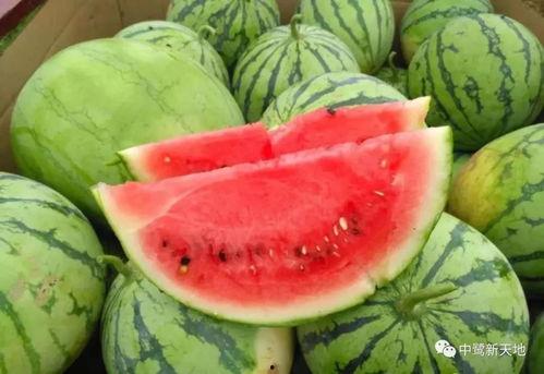 今日广州吃瓜,一网打尽今日新鲜事